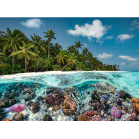 RAVENSBURGER Puzzle Potápanie na Maledivách 2000 dielikov