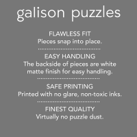 GALISON Puzzle Farby Londýnsky priechod 1000 dielikov