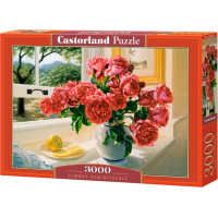 CASTORLAND Puzzle Spomienka na leto 3000 dielikov