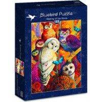 BLUEBIRD Puzzle Stretnutie mysliteľov 1000 dielikov