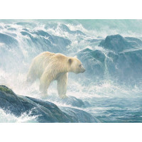 COBBLE HILL Puzzle Číhanie na lososy - Ľadový medveď 500 dielikov