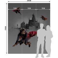 Detská fototapeta - HARRY POTTER 2 - 225x270 cm