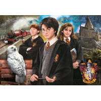 CLEMENTONI Puzzle Harry Potter 1000 dielikov