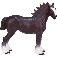 Mojo Shirský kôň