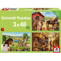 SCHMIDT Puzzle Moje obľúbené koníky 3x48 dielikov