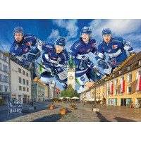 EUROGRAPHICS Puzzle Straubing Tigers 1000 dielikov