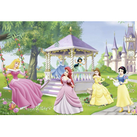 RAVENSBURGER Puzzle Očarujúce princezné 2x24 dielikov