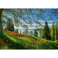 SCHMIDT Puzzle Kvitnúce tulipány na ostrove Mainau 1000 dielikov