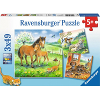 RAVENSBURGER Puzzle Zvieracie maznanie 3x49 dielikov