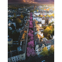 RAVENSBURGER Puzzle Rozkvitnutý Bonn 1500 dielikov