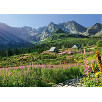 CHERRY PAZZI Puzzle Gąsienicowa dolina, Vysoké Tatry 1000 dielikov