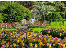 RAVENSBURGER Puzzle Kúzelné záhrady: Záhrada Európy Keukenhof, Holandsko 1000 dielikov