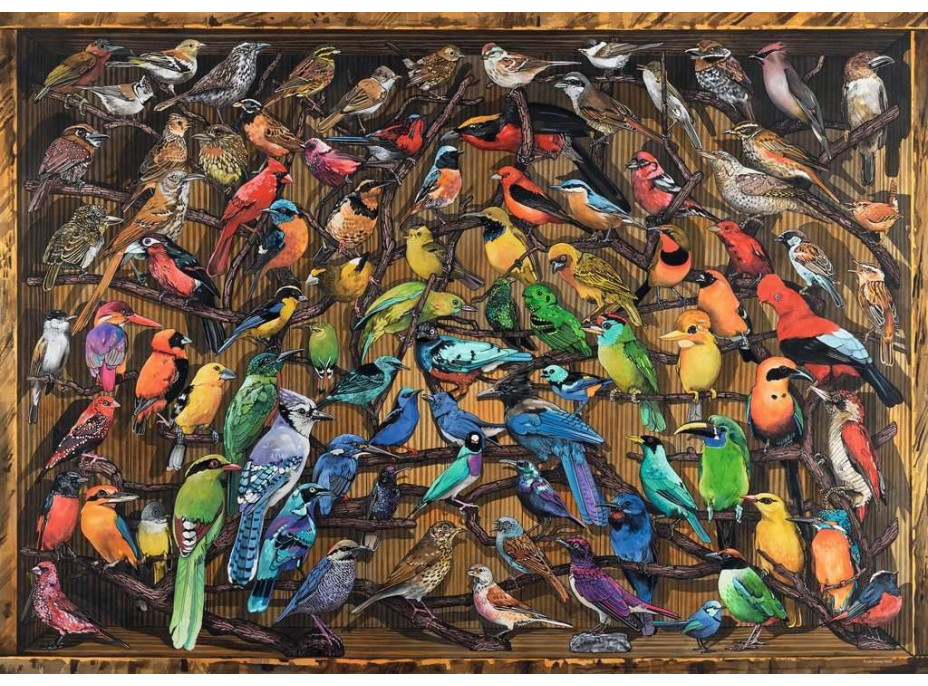 RAVENSBURGER Puzzle Vtáky sveta 1000 dielikov