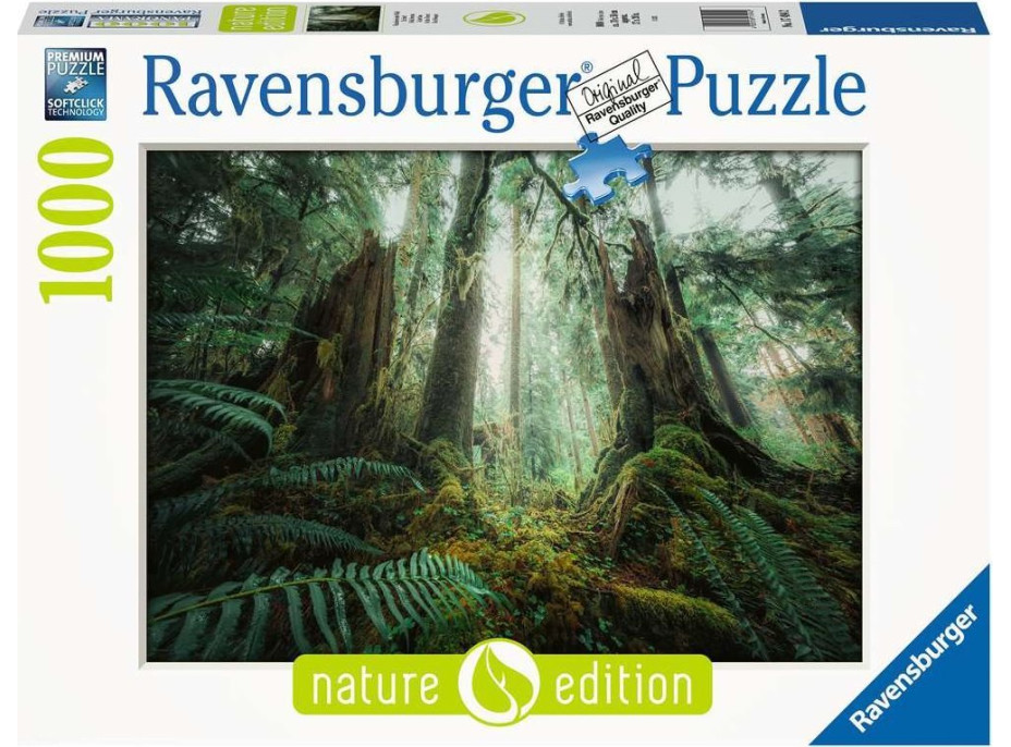 RAVENSBURGER Puzzle V lese 1000 dielikov