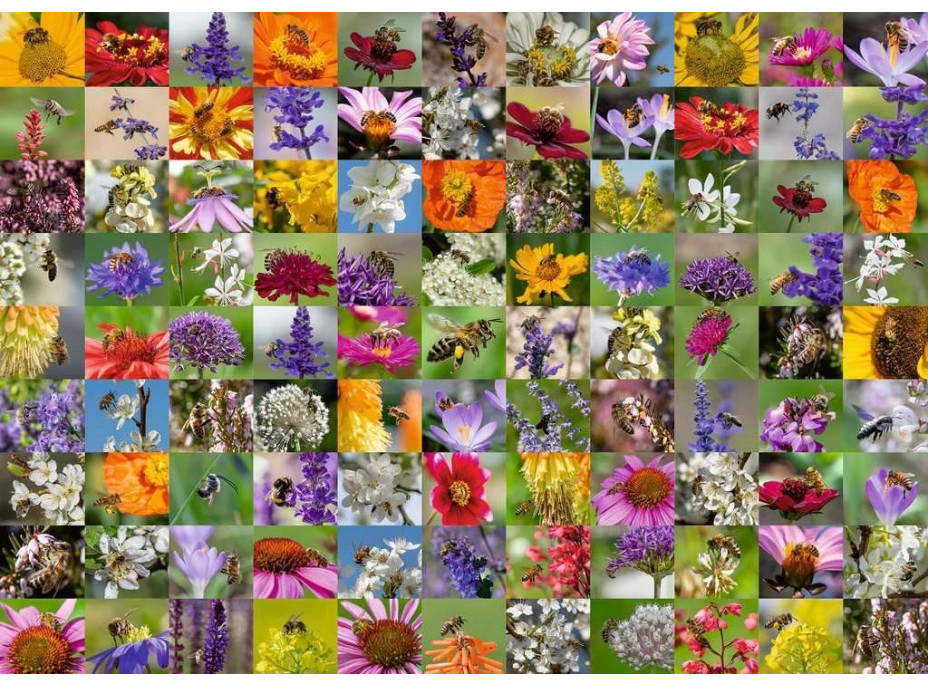 RAVENSBURGER Puzzle Včely na kvetoch 1000 dielikov