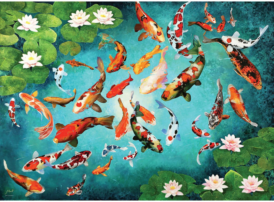 EUROGRAPHICS Puzzle Koi kapry 1000 dielikov