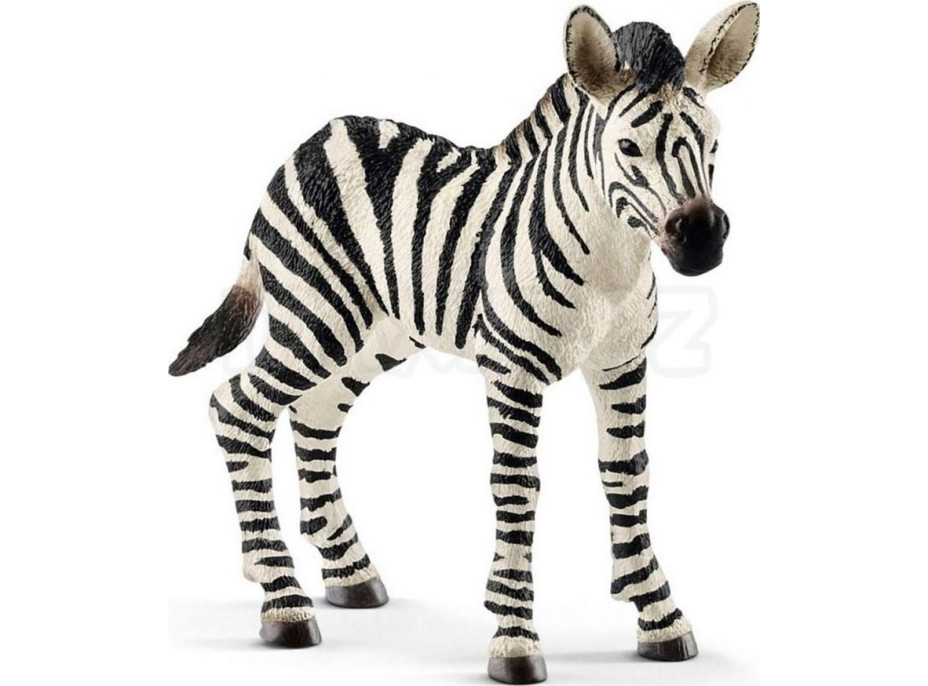 SCHLEICH Wild Life® 14811 Mláďa zebry