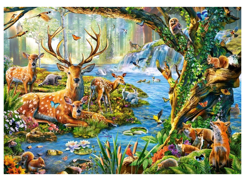 CASTORLAND Puzzle Život v lese 500 dielikov