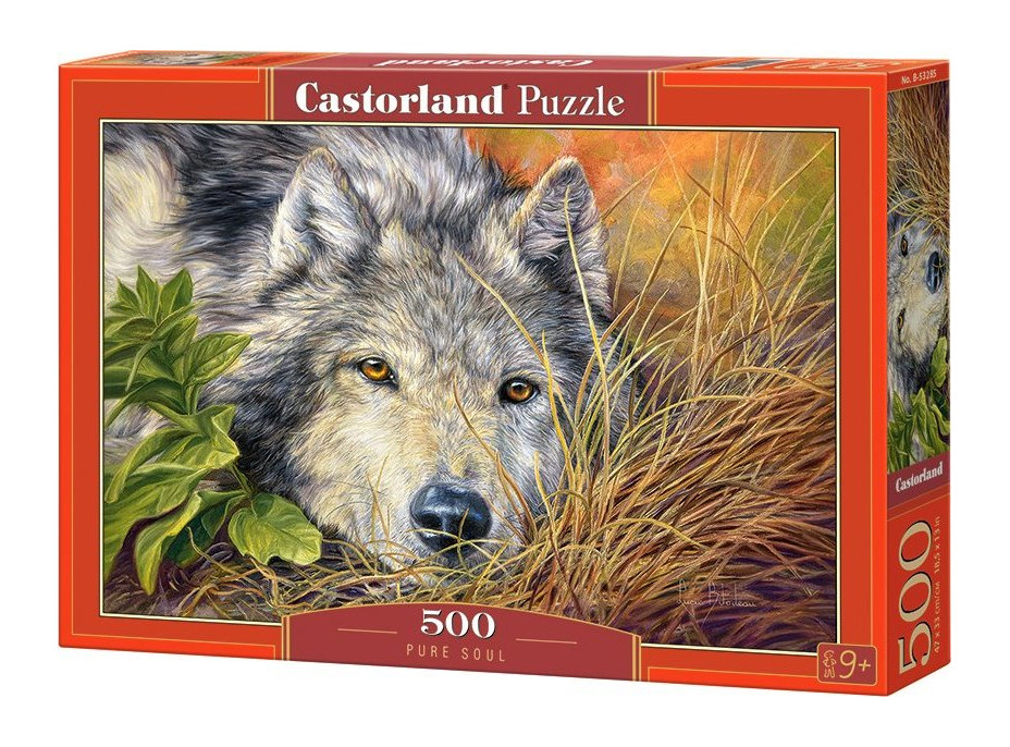 CASTORLAND Puzzle Čistá duša 500 dielikov