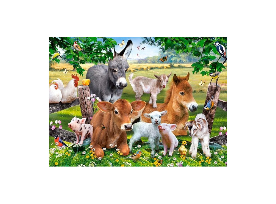 CASTORLAND Puzzle Na farme 100 dielikov