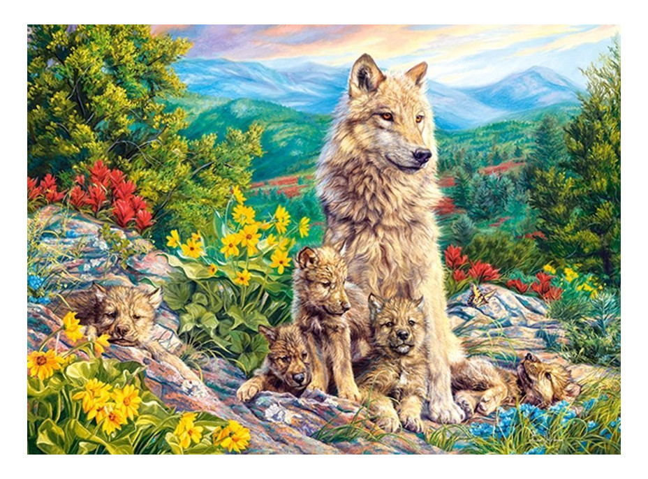 CASTORLAND Puzzle Nová generácia 200 dielikov