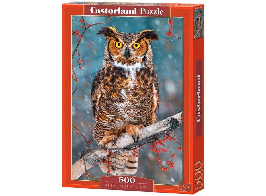 CASTORLAND Puzzle Výr himalájsky 500 dielikov