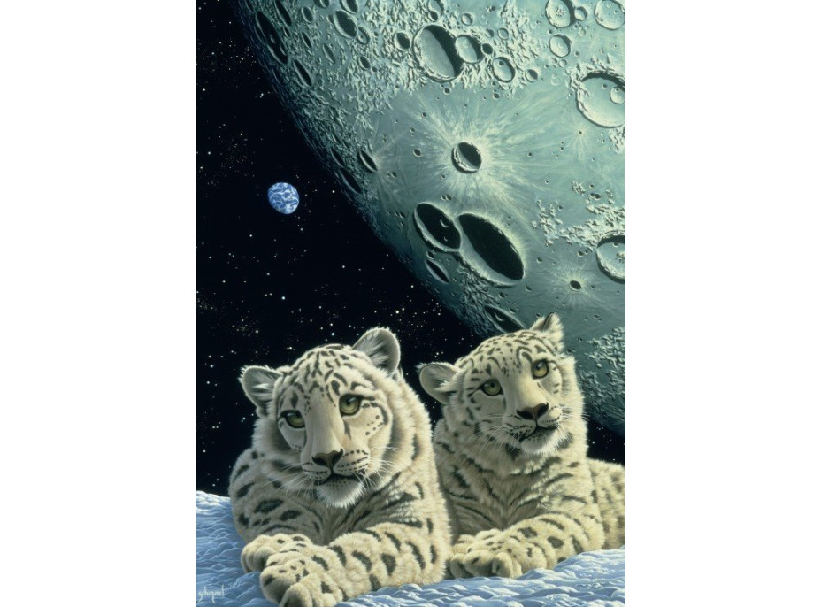 GRAFIKA Puzzle Brloh snežných leopardov 1000 dielikov