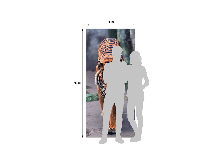 Moderné fototapety - Tiger - 90x202 cm