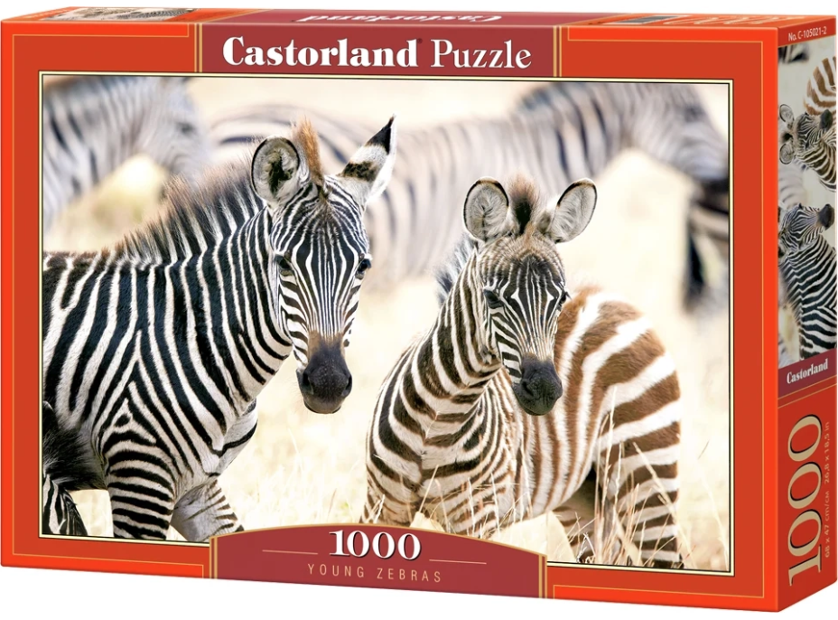 CASTORLAND Puzzle Mladé zebry 1000 dielikov