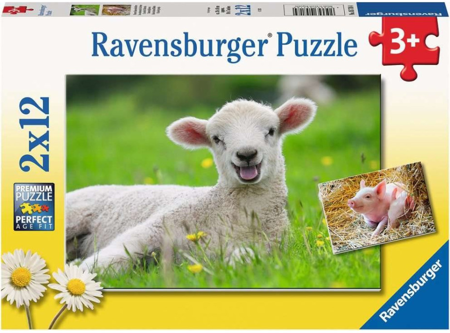 RAVENSBURGER Puzzle Hospodárske zvieratá 2x12 dielikov