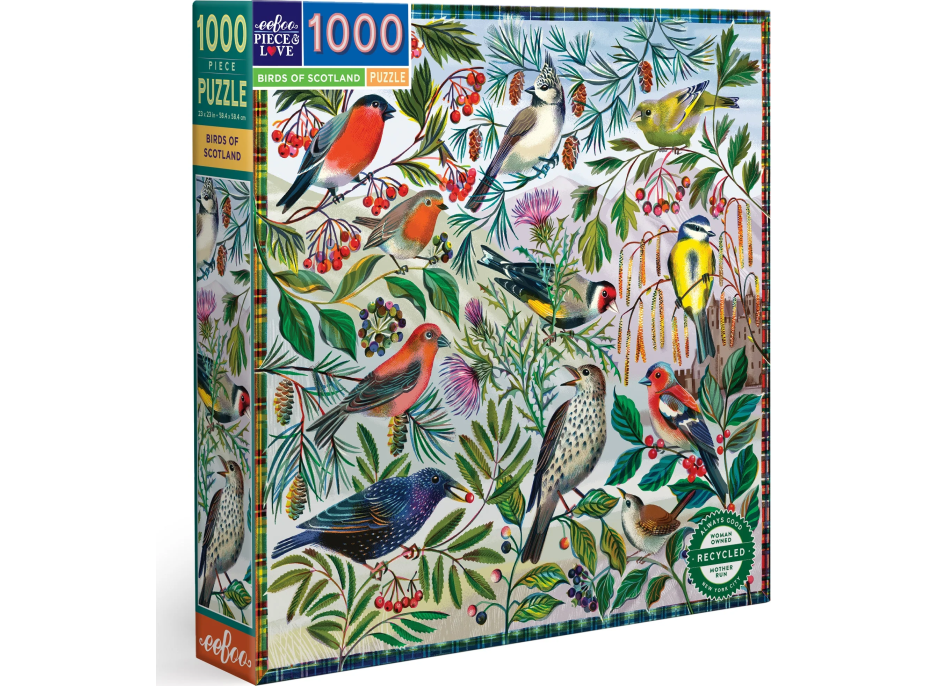 EEBOO Štvorcové puzzle Vtáky Škótska 1000 dielikov