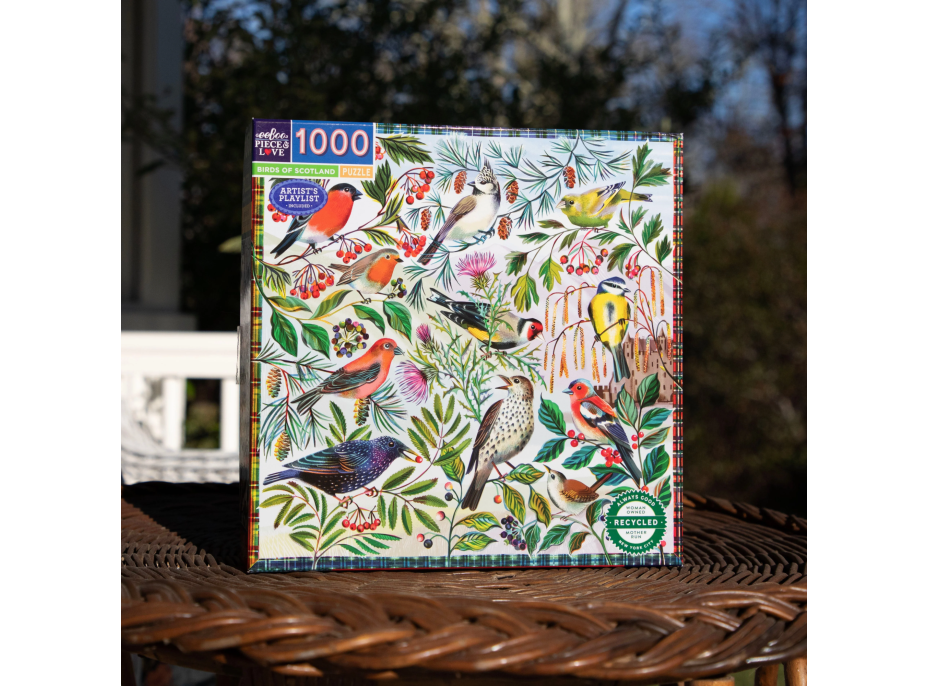 EEBOO Štvorcové puzzle Vtáky Škótska 1000 dielikov