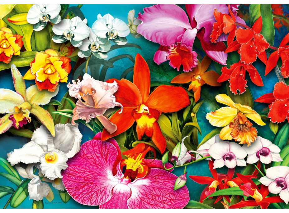 ENJOY Puzzle Džungľa orchideí 1000 dielikov