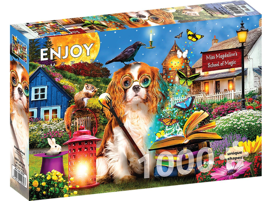 ENJOY Puzzle Škola kúziel 1000 dielikov