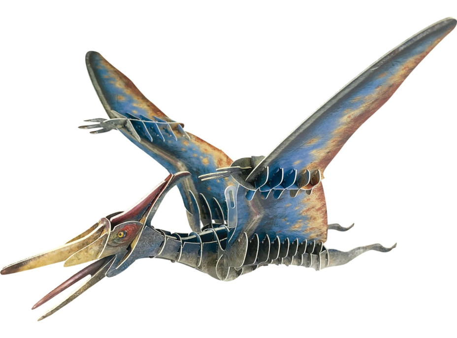 EDUCA 3D puzzle Pteranodon 43 dielikov