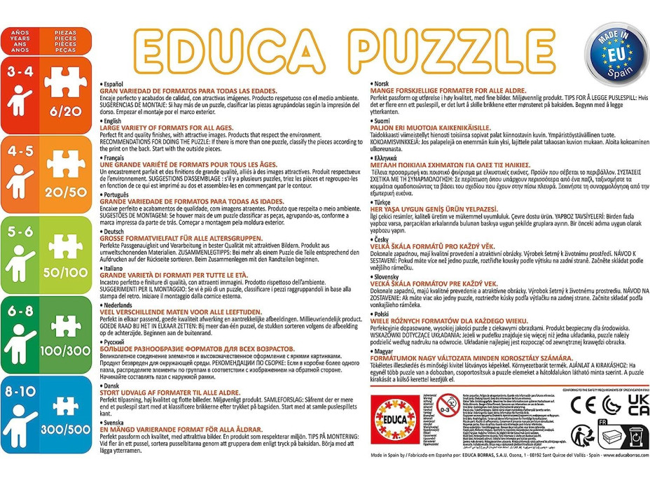 EDUCA Puzzle Lesné príbehy 2x48 dielikov