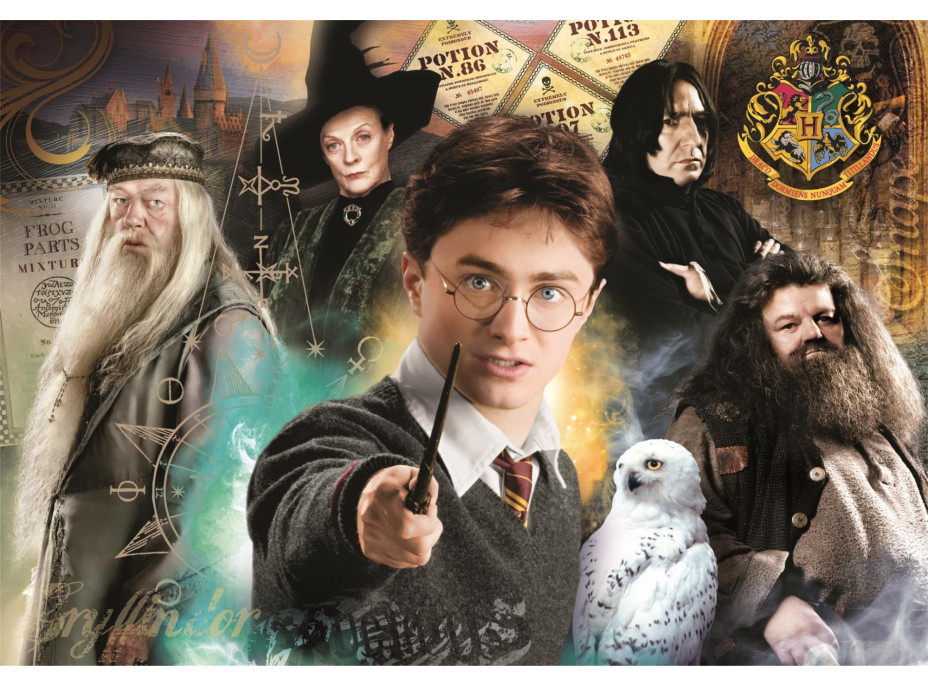 CLEMENTONI Puzzle Harry Potter: Učitelia 1000 dielikov