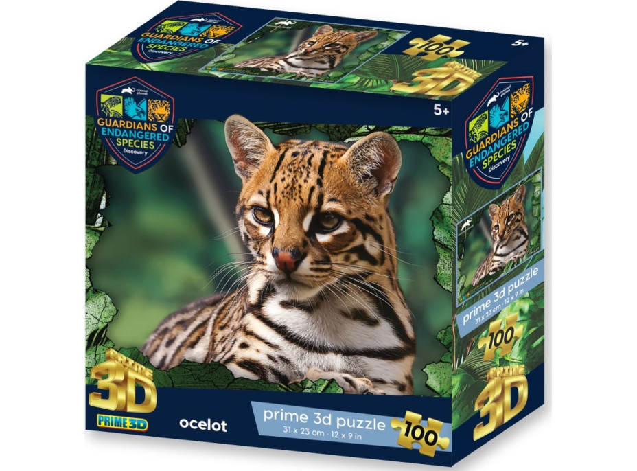 PRIME 3D Puzzle Animal planét: Ohrozené druhy - Ocelot 3D 100 dielikov