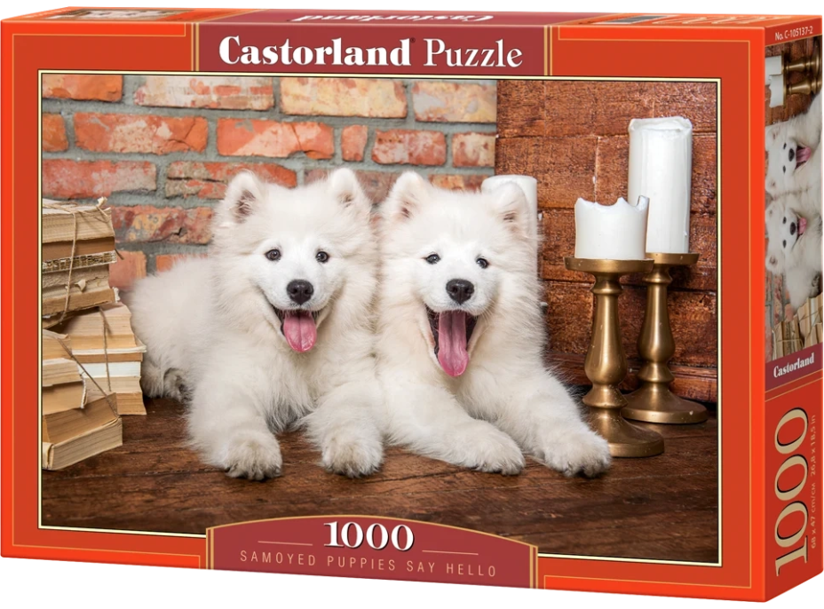 CASTORLAND Puzzle Šteňatá samojeda 1000 dielikov