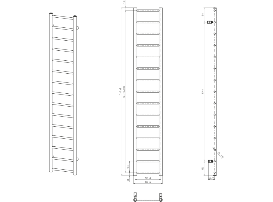 Sapho DINA vykurovacie teleso 300x1740 mm, čierna mat IR376B