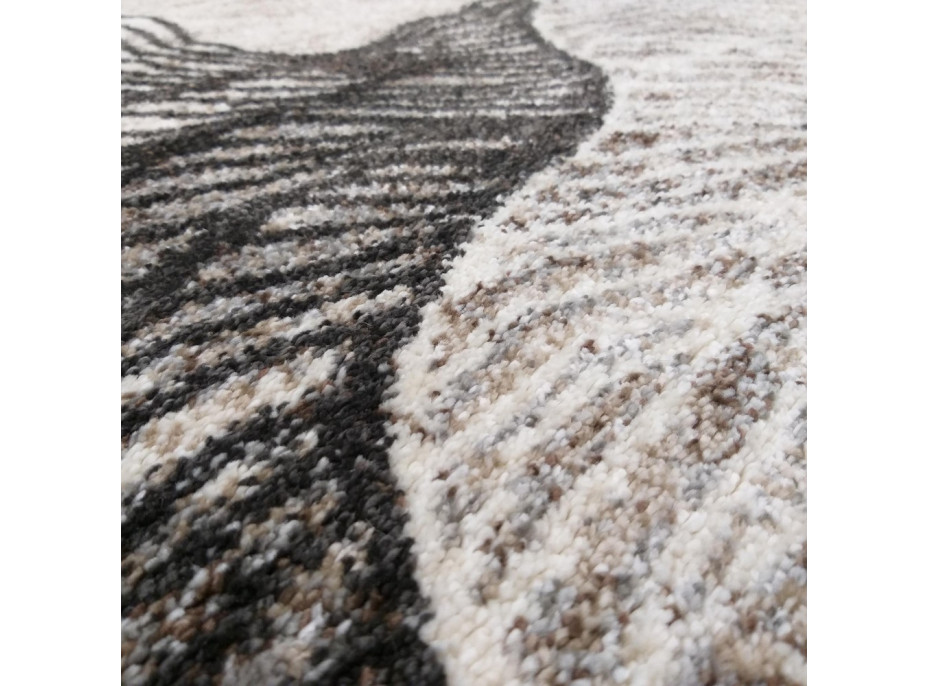 Kusový koberec PANNE wing - odtiene hnedej - 240x330 cm