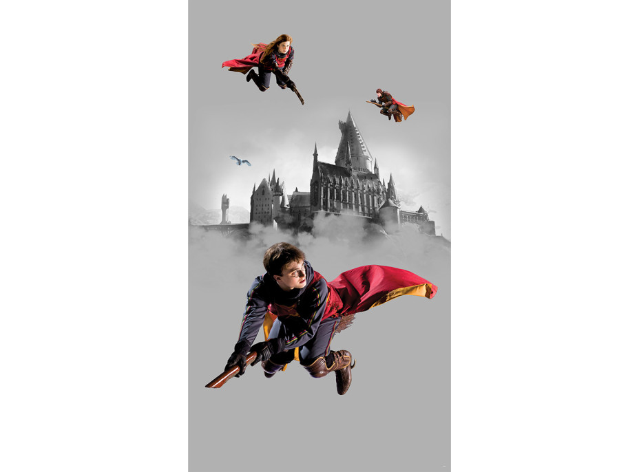 Detská fototapeta - HARRY POTTER 2 - 150x270 cm