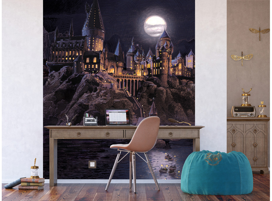 Detská fototapeta - HARRY POTTER Škola čiar a kúziel - 225x270 cm