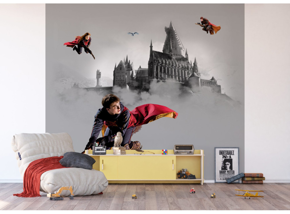 Detská fototapeta - HARRY POTTER 2 - 300x270 cm