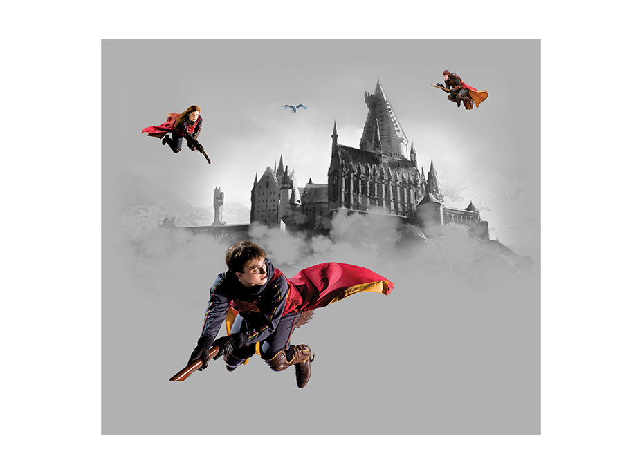 Detská fototapeta - HARRY POTTER 2 - 300x270 cm