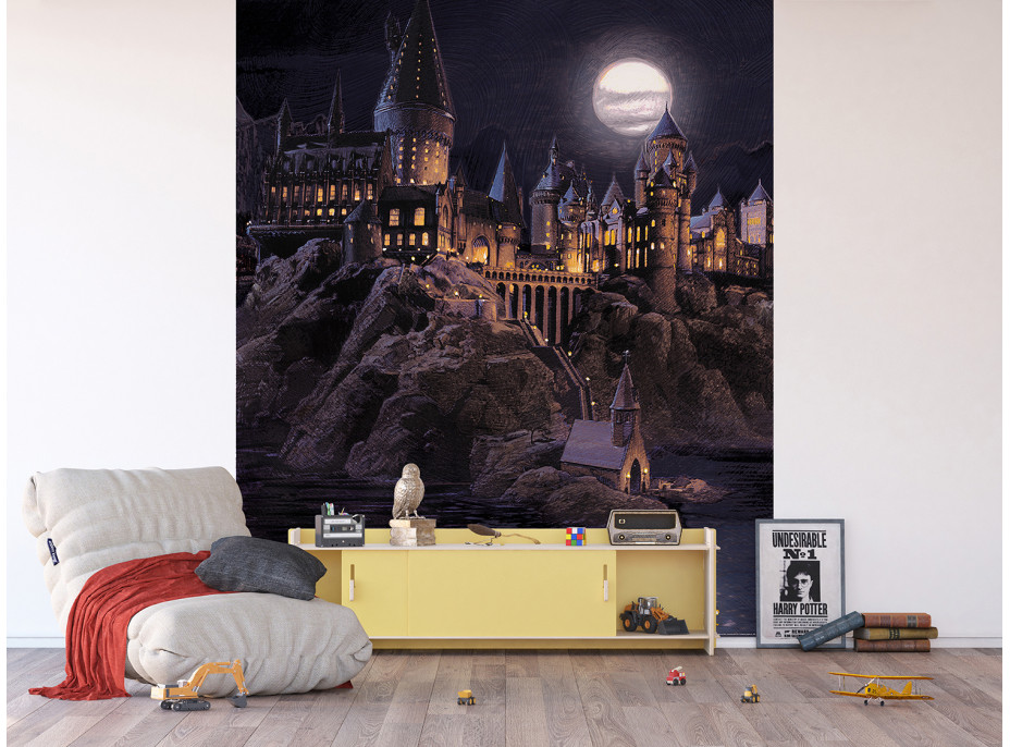 Detská fototapeta - HARRY POTTER Škola čiar a kúziel - 225x270 cm