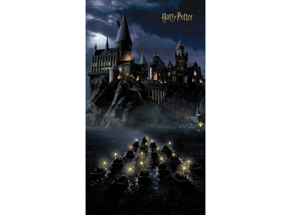 Detská fototapeta - HARRY POTTER Bradavice - 150x270 cm