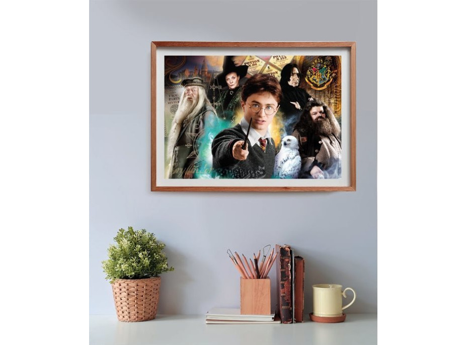 CLEMENTONI Puzzle Harry Potter 500 dielikov