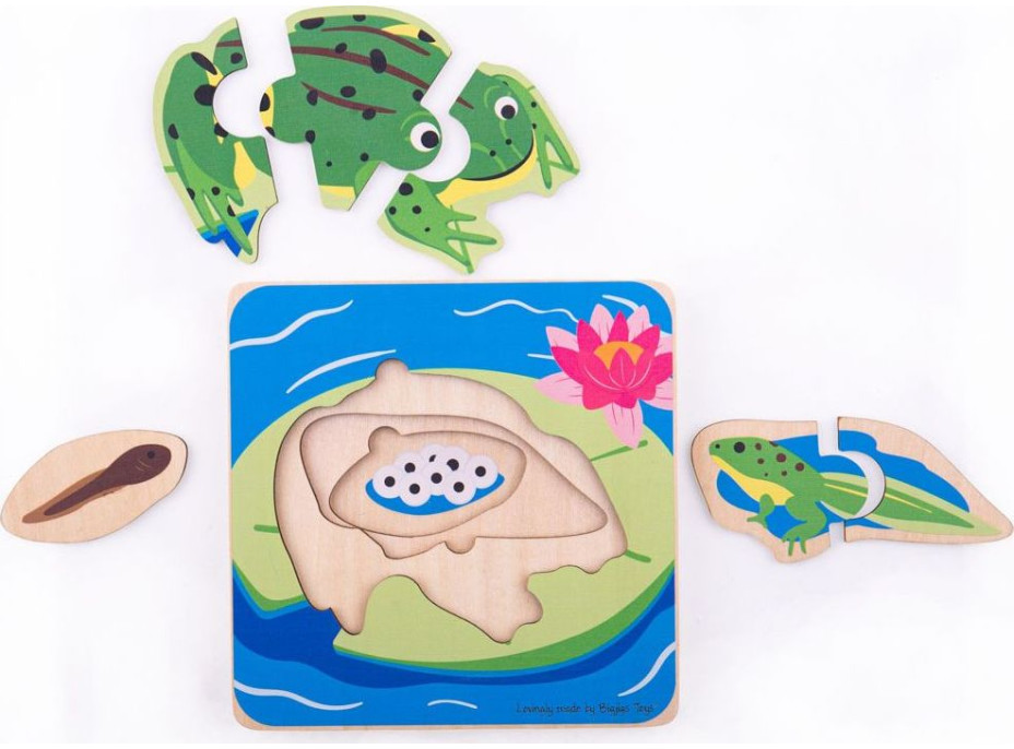 Bigjigs Toys Vkladacie puzzle životné cykly žaby