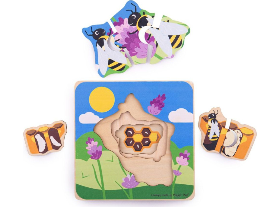 Bigjigs Toys Vkladacie puzzle životné cykly včely